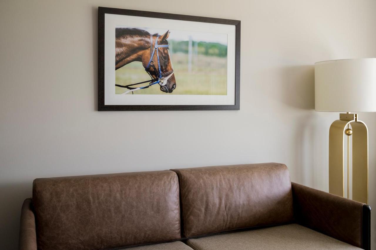 The William Inglis Mgallery Уорик-Фарм Экстерьер фото A framed photograph of a horse